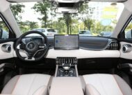 BYD Yuan PLUS Excellent 510Km