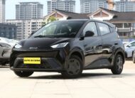 BYD Seagull Vitality 305Km