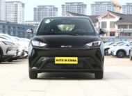 BYD Seagull Vitality 305Km