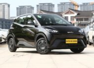 BYD Seagull Vitality 305Km
