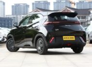 BYD Seagull Vitality 305Km