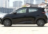 BYD Seagull Vitality 305Km