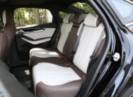 BYD Qin Plus Leading 510km