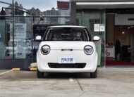 🚘 Changan Lumin 301 կմ Treasure Edition – 2026թ.