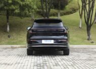🚘 Qiyuan Q07 215 Flagship Plus Laser Version