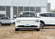 🚘 Dongfeng Nano 01 430 Air – 2026թ.